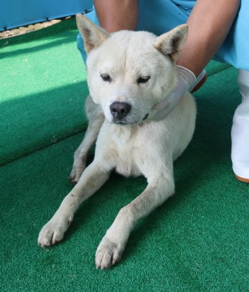 제주 동물보호센터_450650202402442